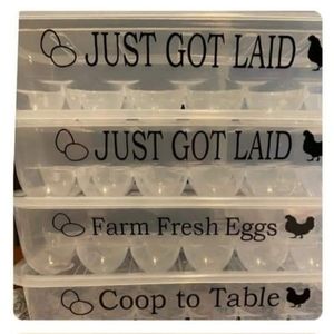 Plastic Egg carton